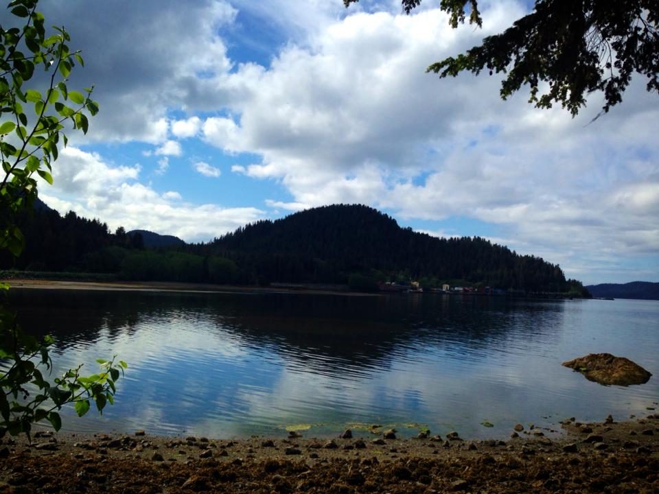 Alaska & Inside Passage, USA photo 8