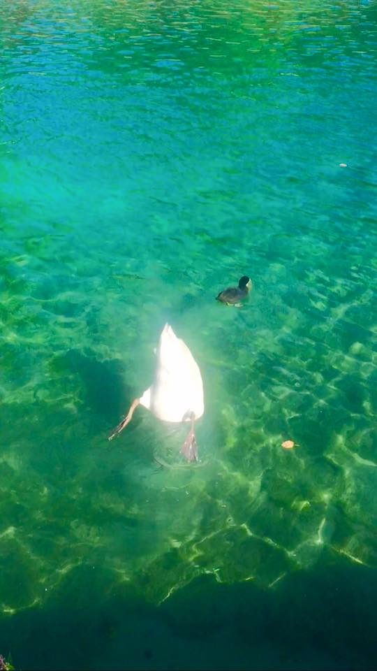 Annecy, France photo 26
