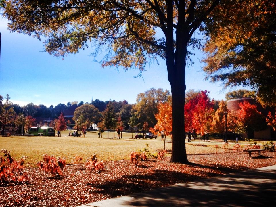 Atlanta, Georgia photo 3