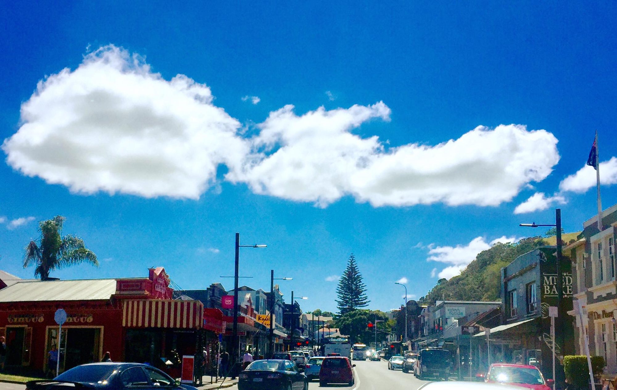 Auckland, New Zealand photo 3