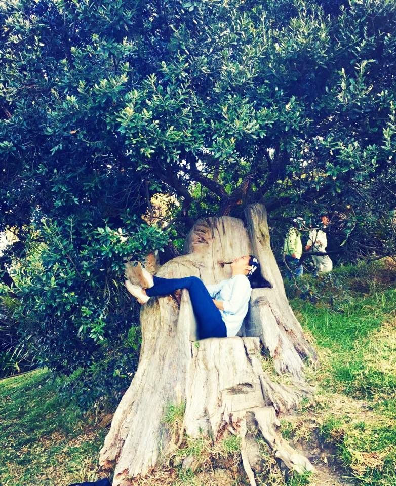 Auckland, New Zealand photo 4