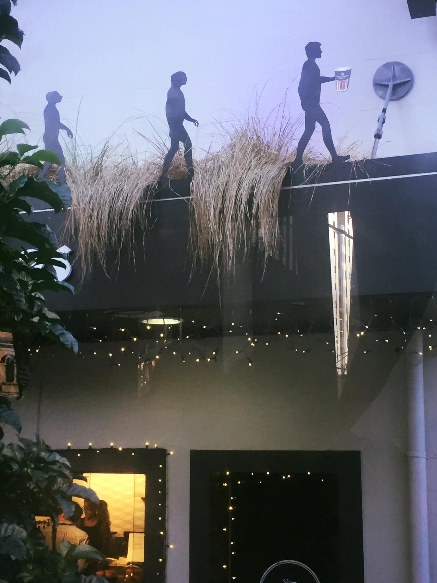 Auckland, New Zealand photo 5
