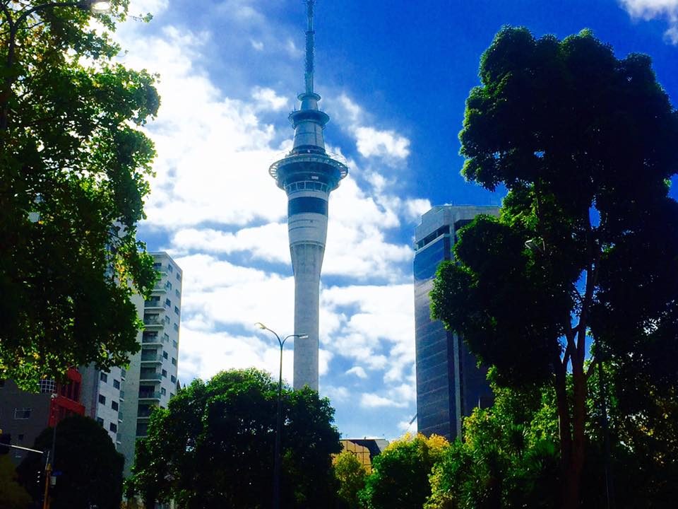 Auckland, New Zealand photo 8