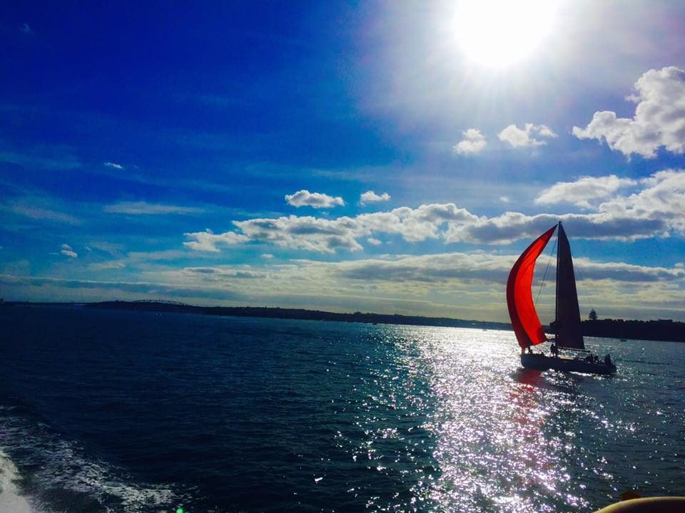 Auckland, New Zealand photo 14