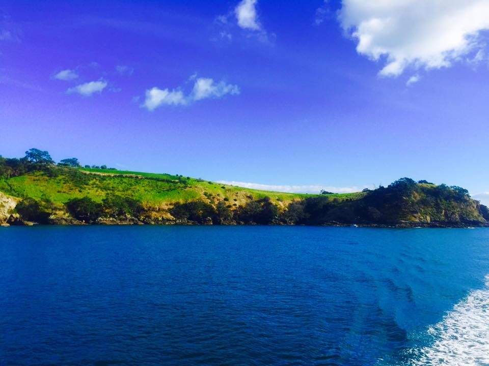 Auckland, New Zealand photo 17