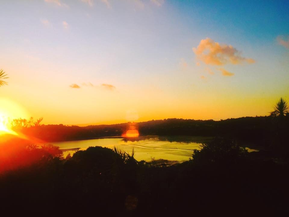 Auckland, New Zealand photo 22