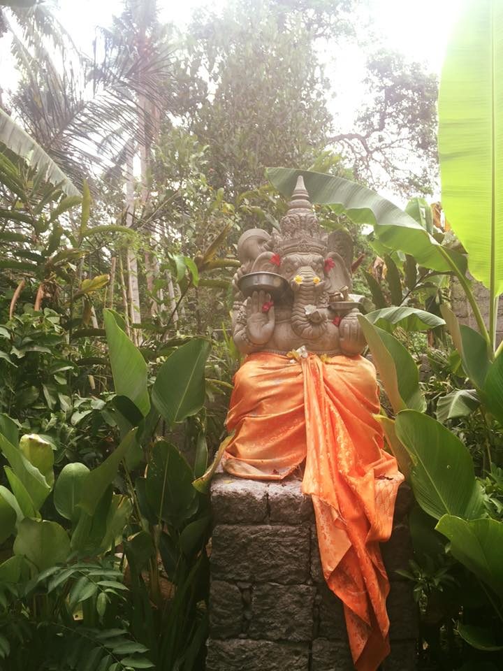 Bali, Indonesia photo 7
