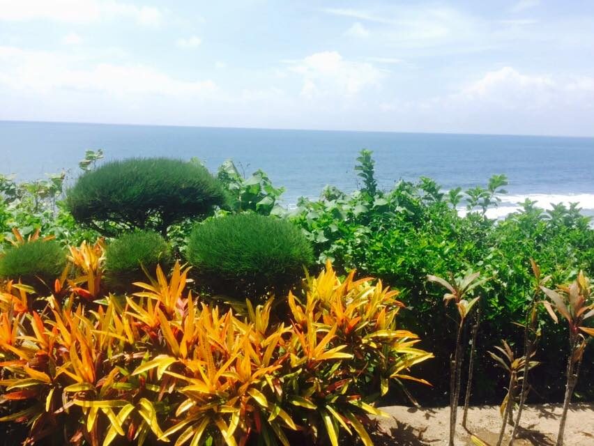 Bali, Indonesia photo 12