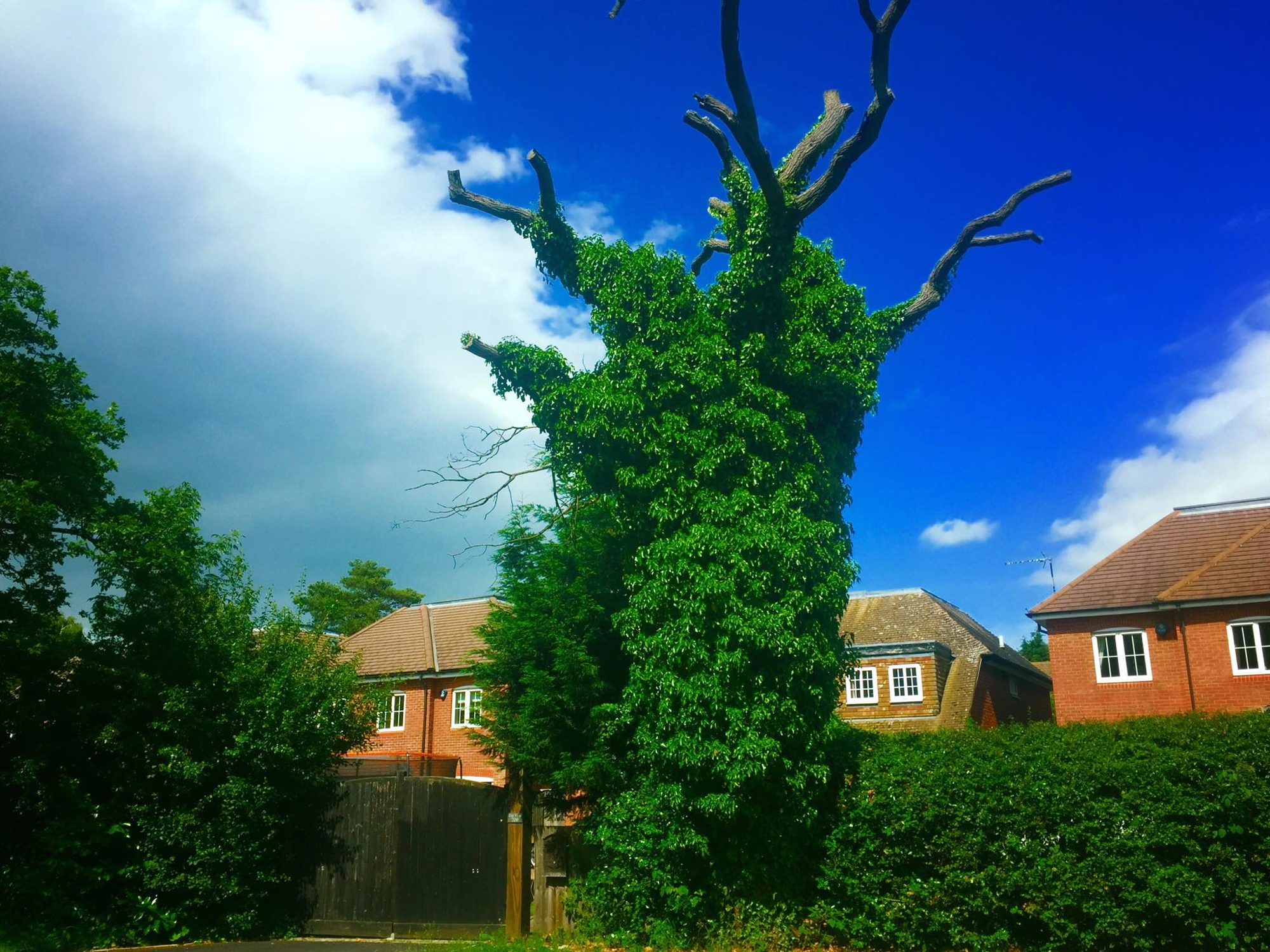 Stratford-upon-Avon, England photo 16
