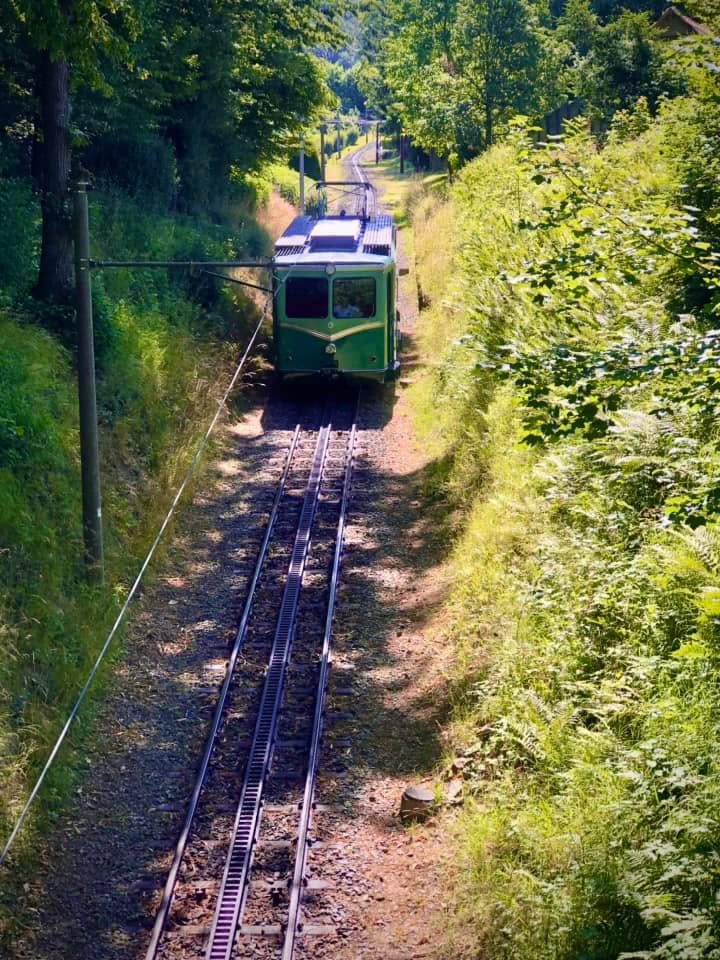 Bonn, Germany photo 8