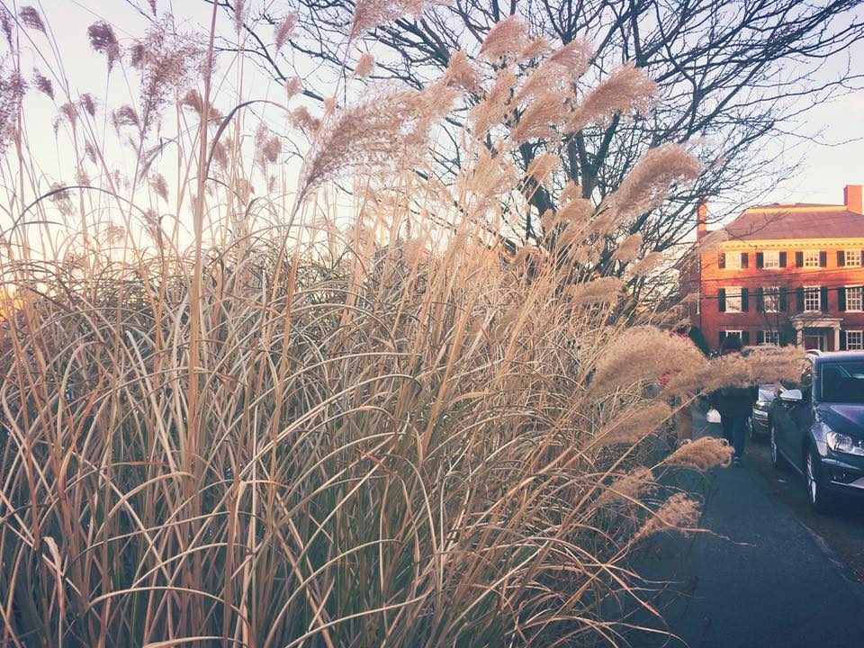 Boston, Massachusetts, USA photo 2