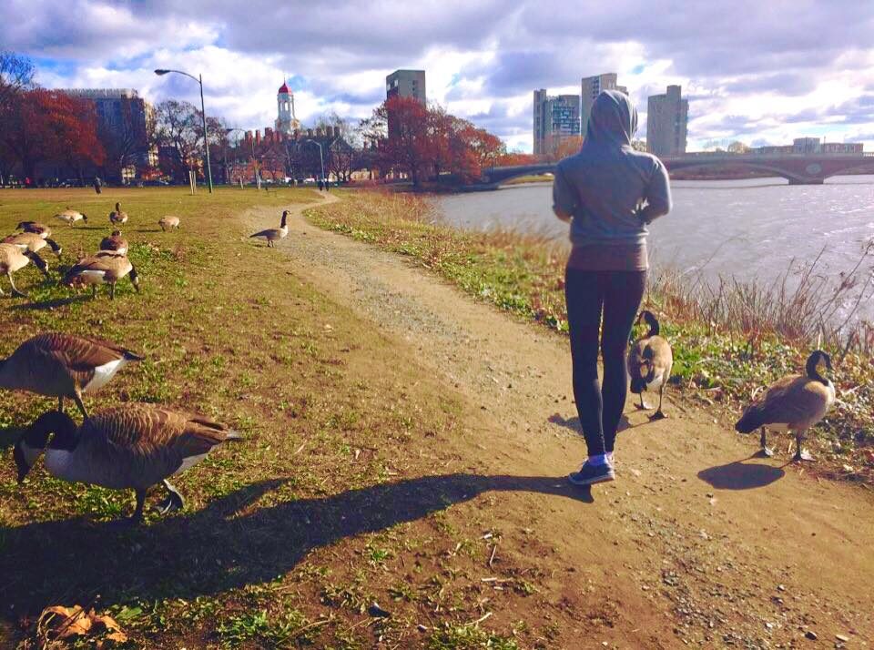 Boston, Massachusetts, USA photo 10