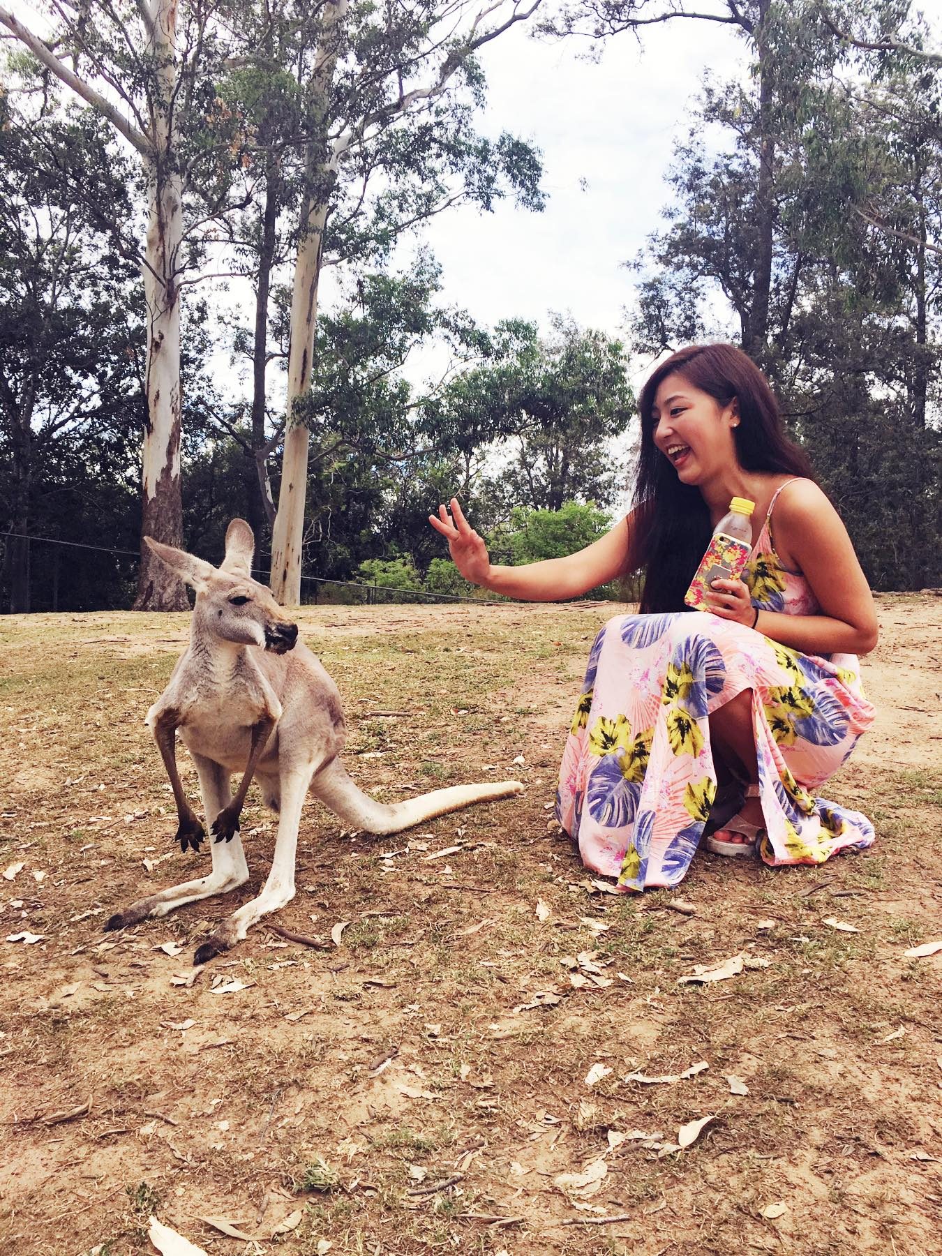 Brisbane, Australia photo 1