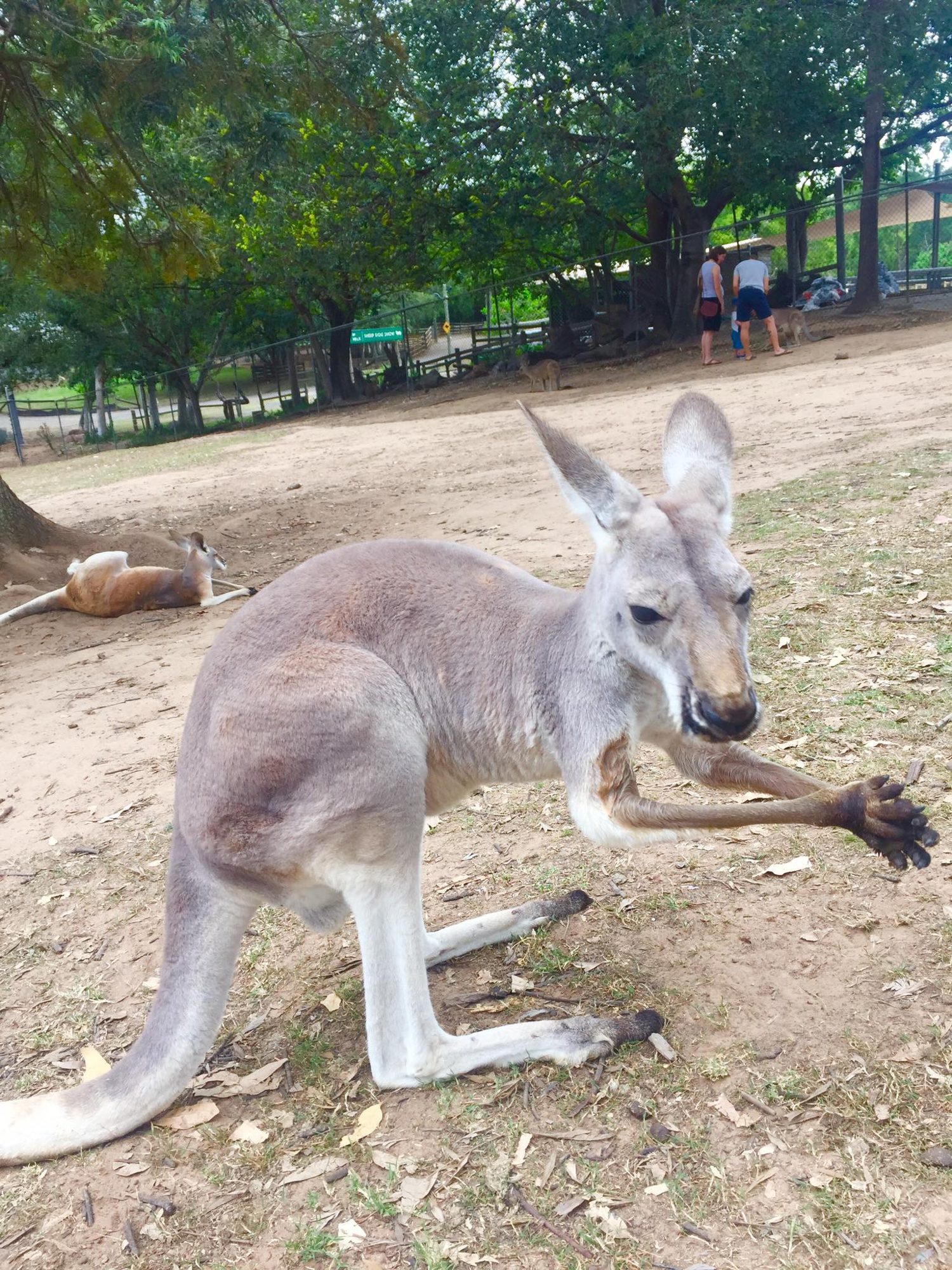 Brisbane, Australia