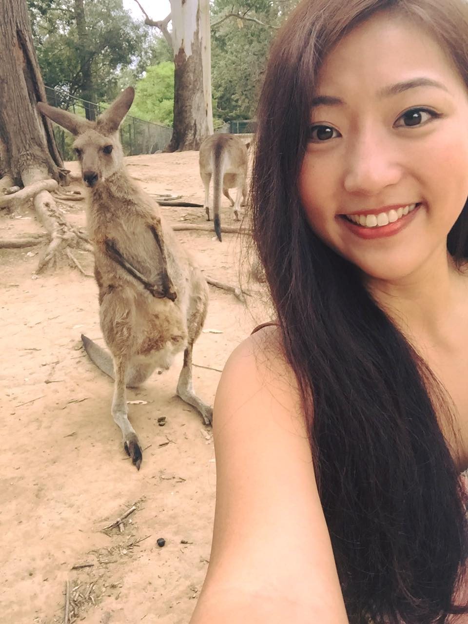 Brisbane, Australia photo 8
