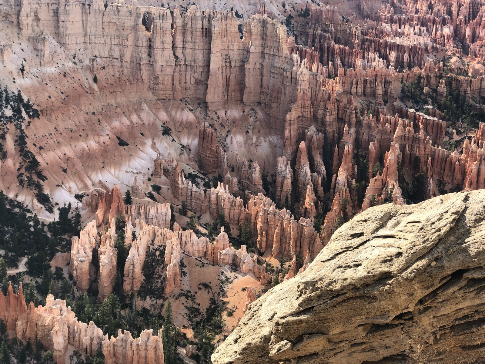 Bryce Canyon National Park, Utah photo 6