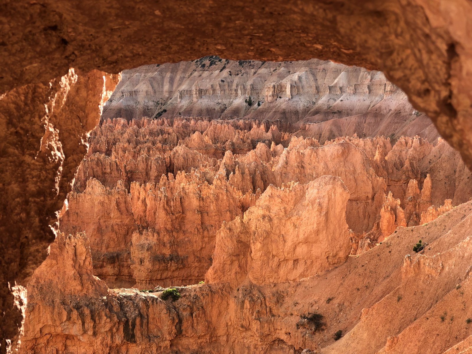 Bryce Canyon National Park, Utah photo 8