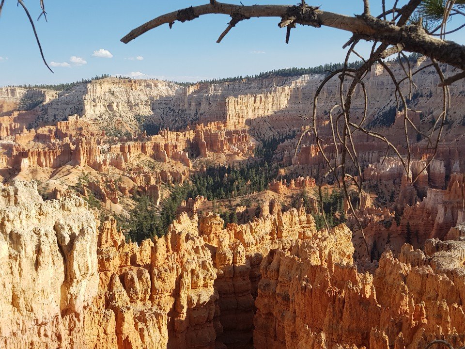 Bryce Canyon National Park, Utah photo 11