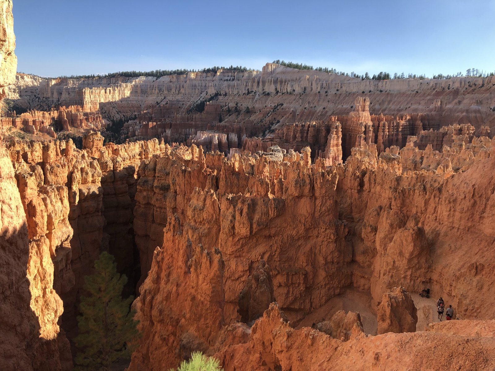 Bryce Canyon National Park, Utah photo 16