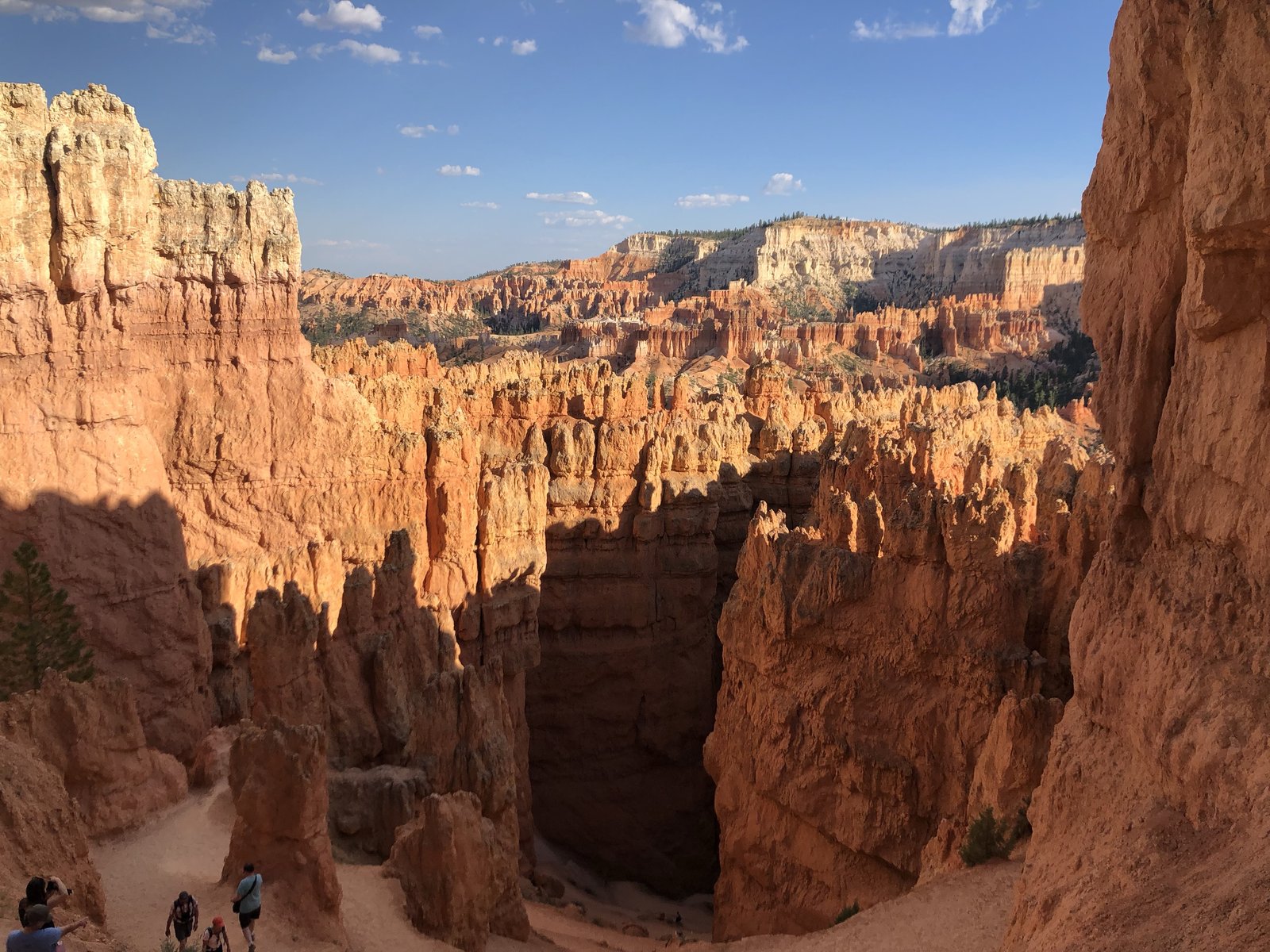 Bryce Canyon National Park, Utah photo 17