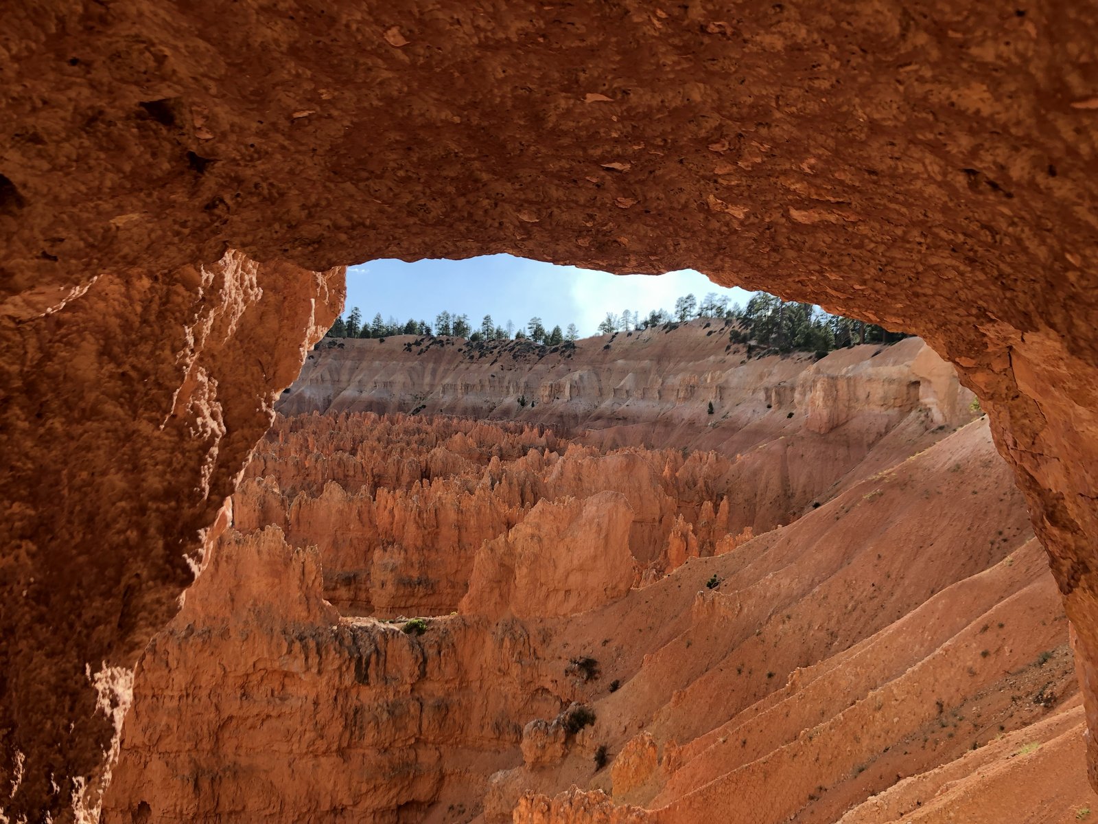 Bryce Canyon National Park, Utah photo 18