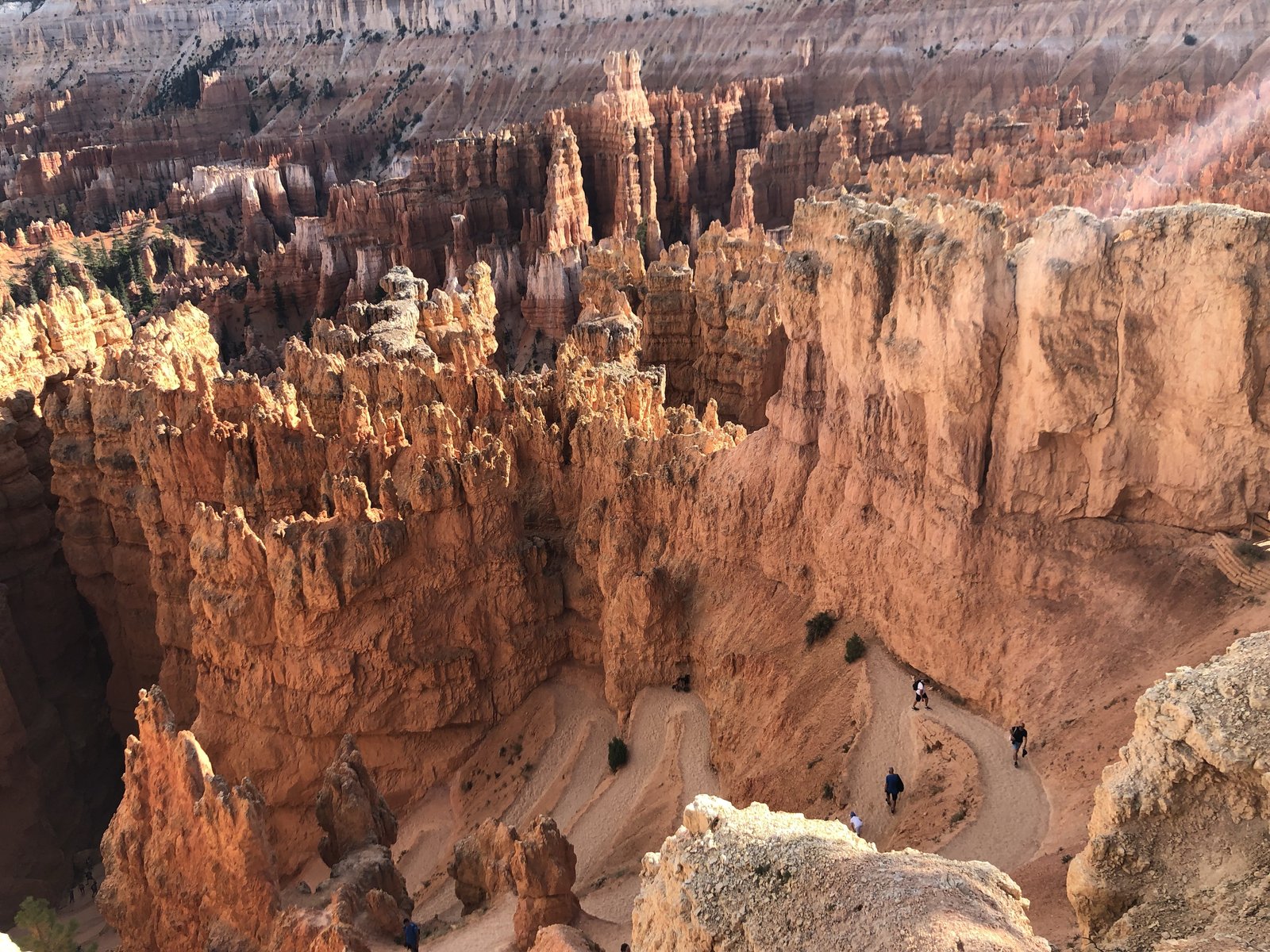 Bryce Canyon National Park, Utah photo 19