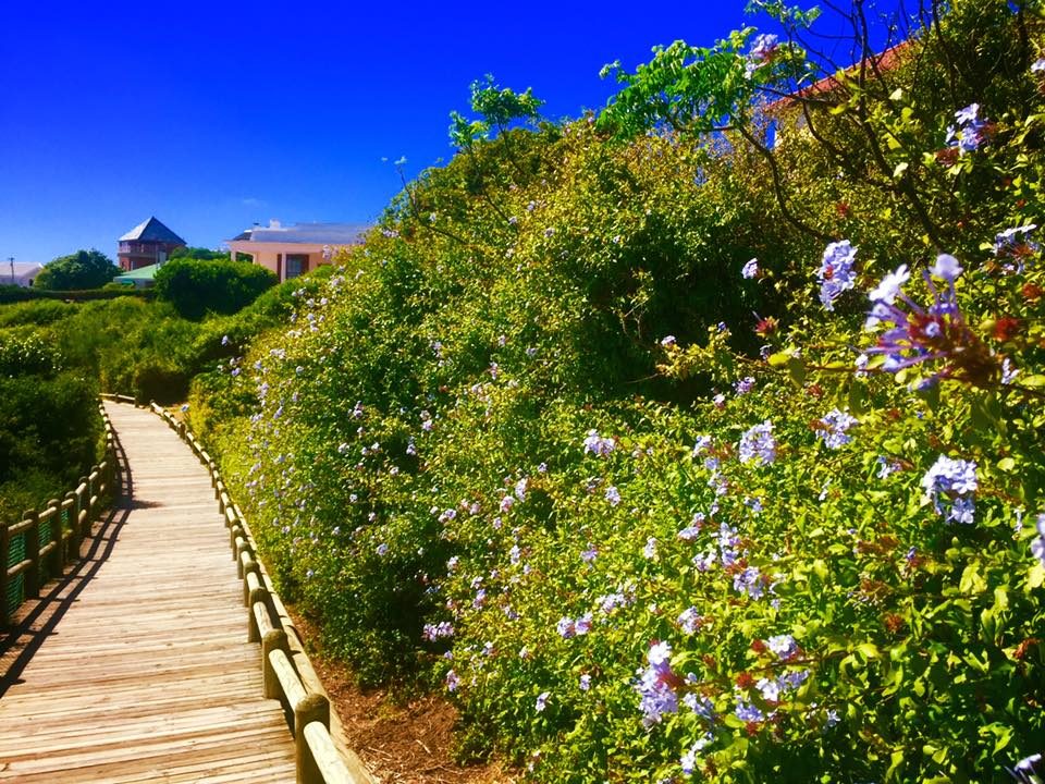 Cape Town, South Africa