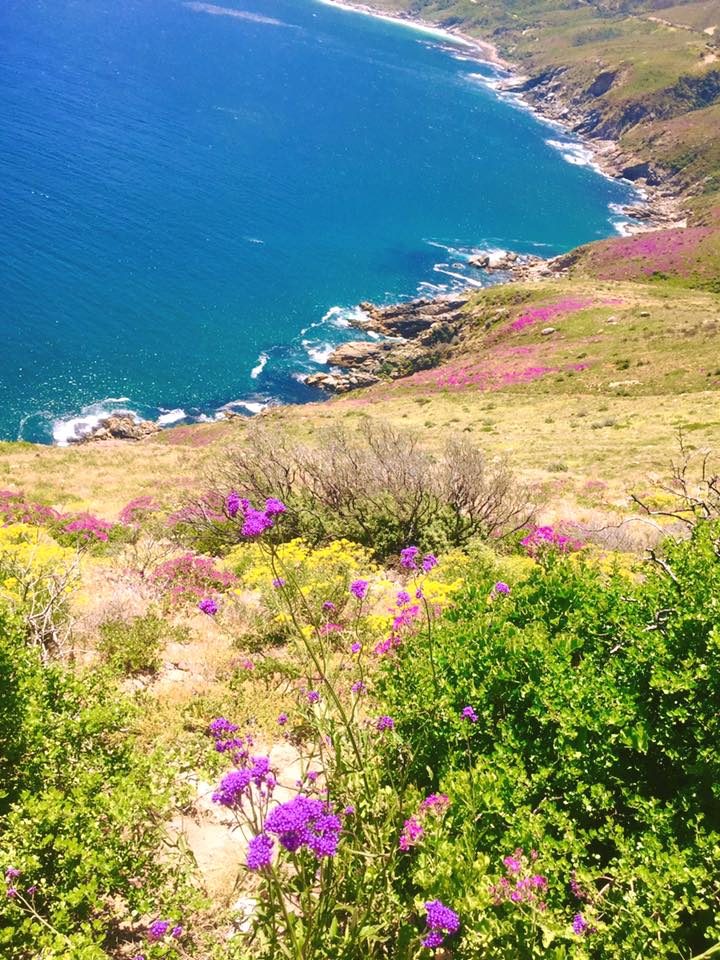 Cape Town, South Africa photo 2