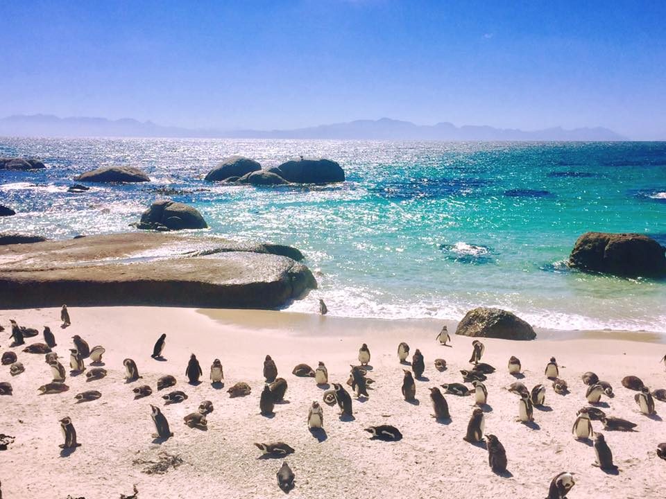 Cape Town, South Africa photo 13