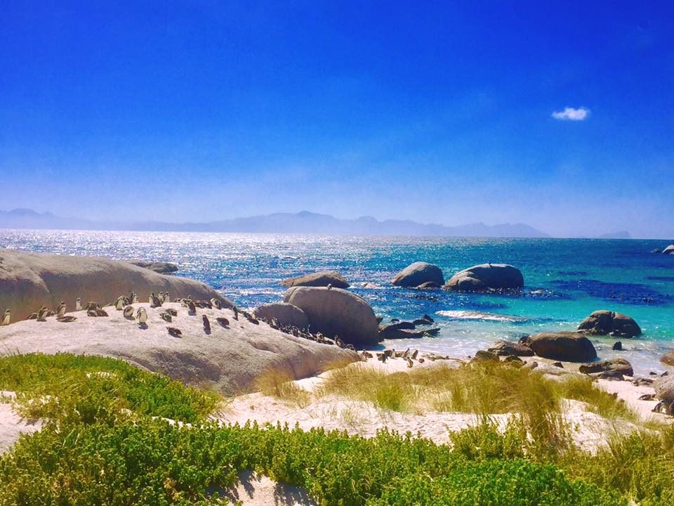 Cape Town, South Africa photo 17