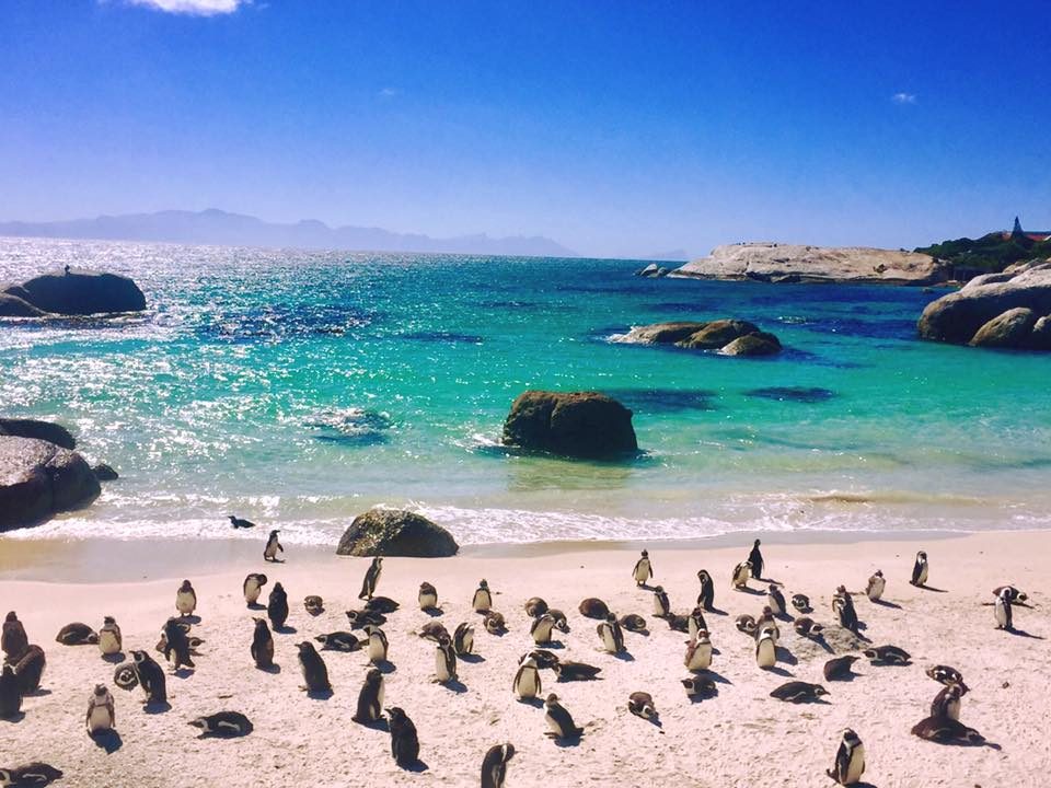 Cape Town, South Africa photo 18