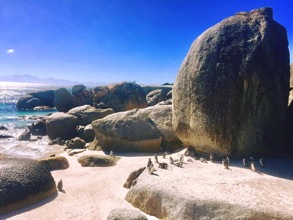 Cape Town, South Africa photo 20