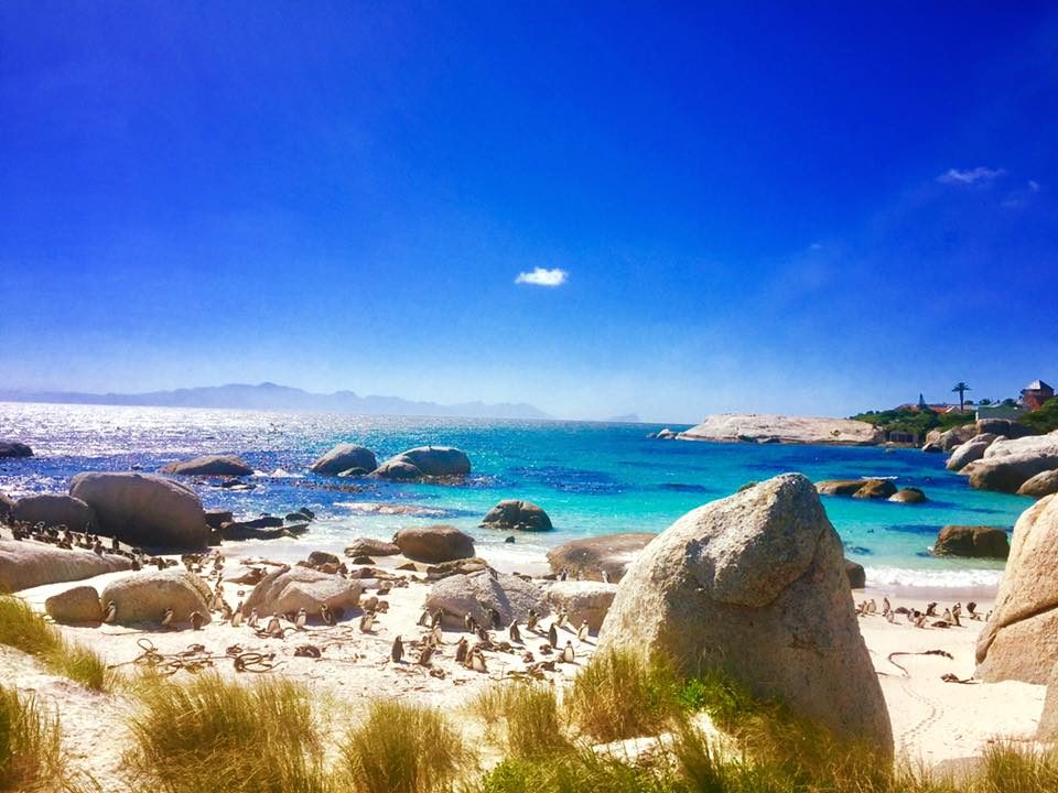 Cape Town, South Africa photo 25