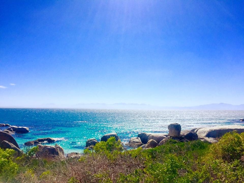Cape Town, South Africa photo 27