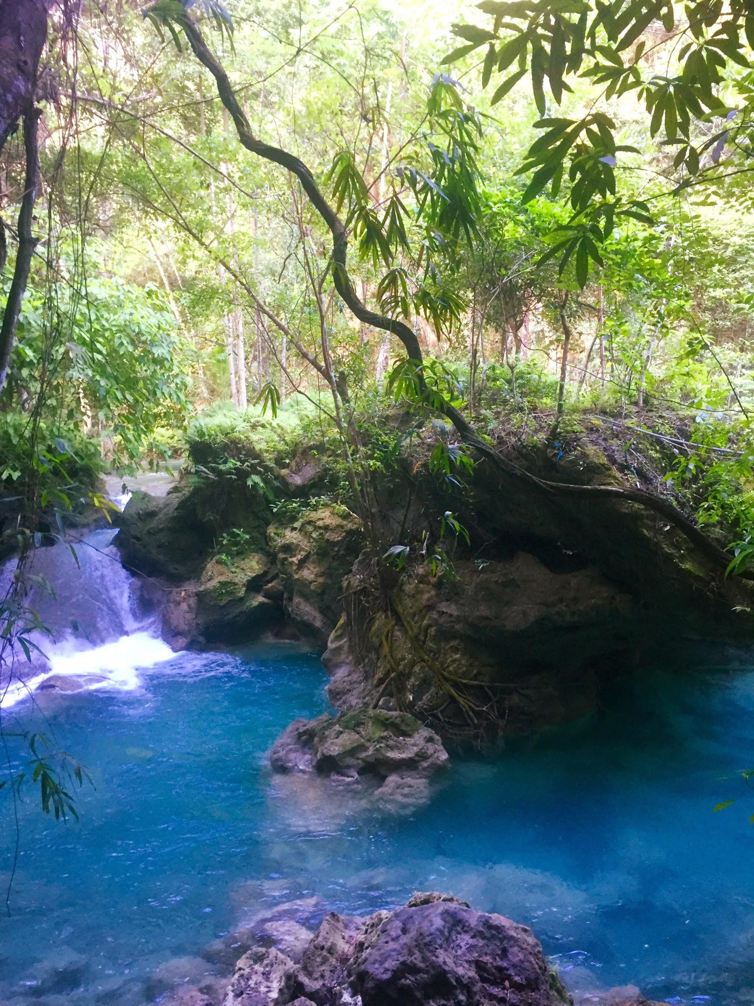 Cebu, Philippines photo 1