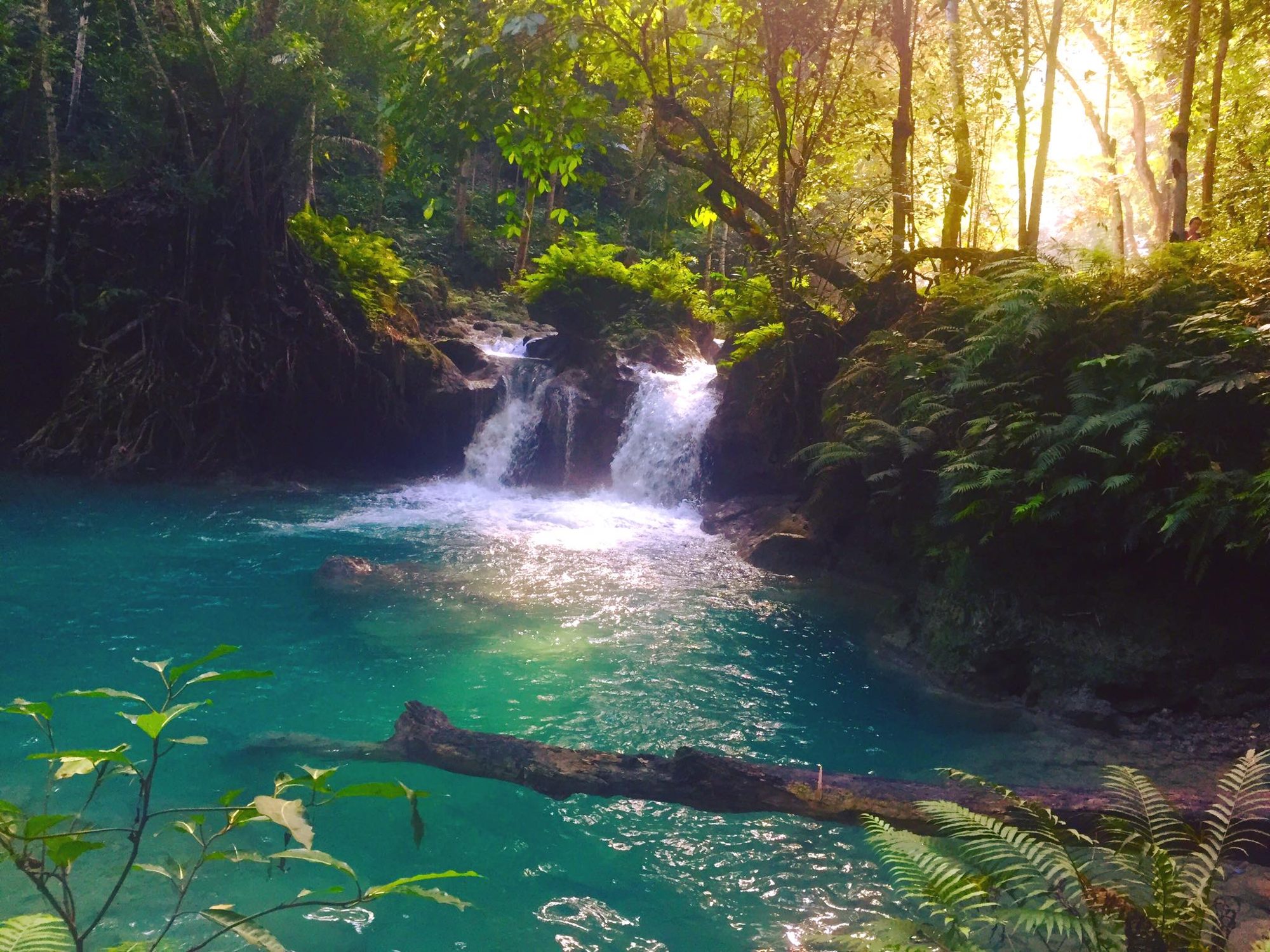 Cebu, Philippines photo 7