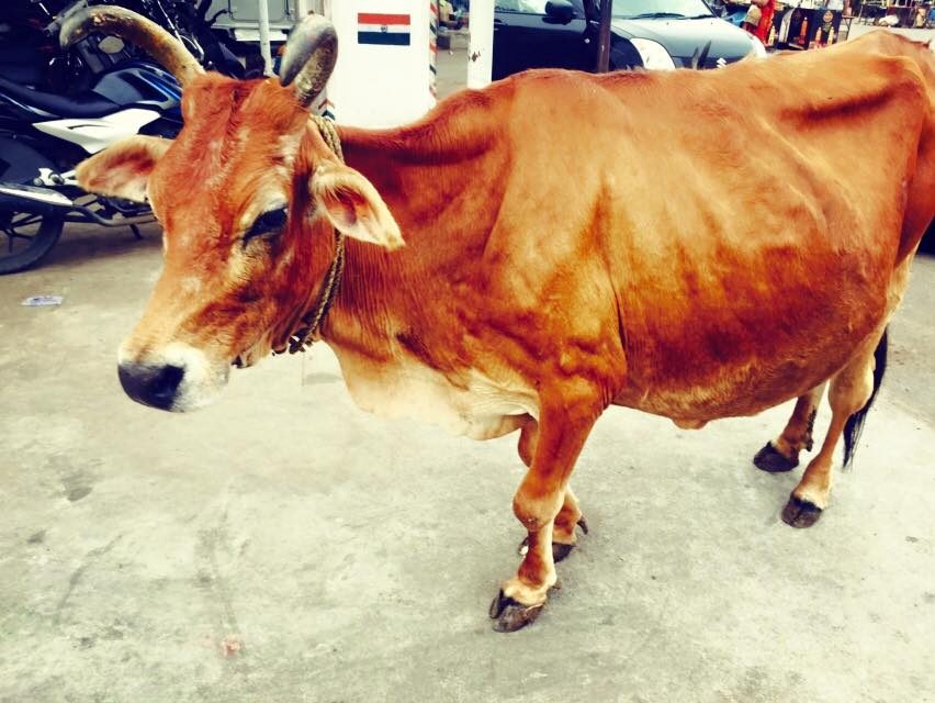Chennai, India photo 8