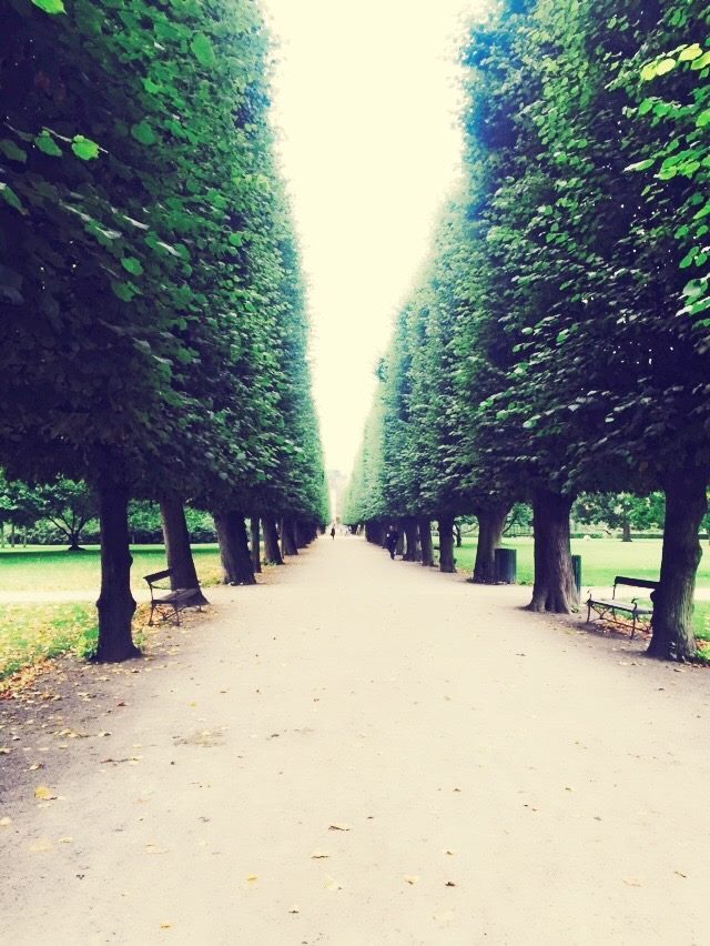Copenhagen, Denmark photo 19