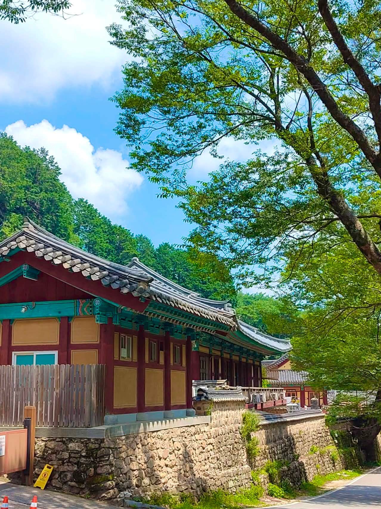 Daejeon, South Korea photo 3