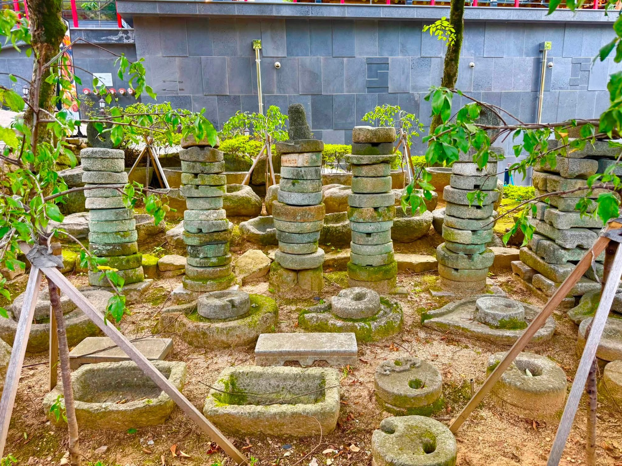 Daejeon, South Korea photo 7
