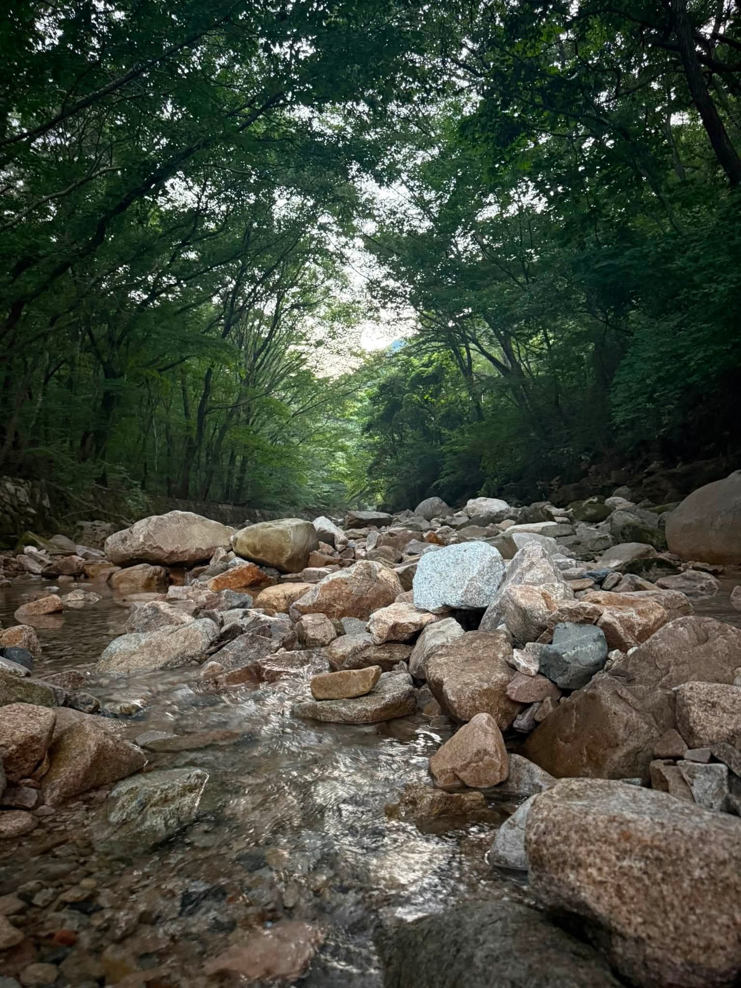 Daejeon, South Korea photo 16