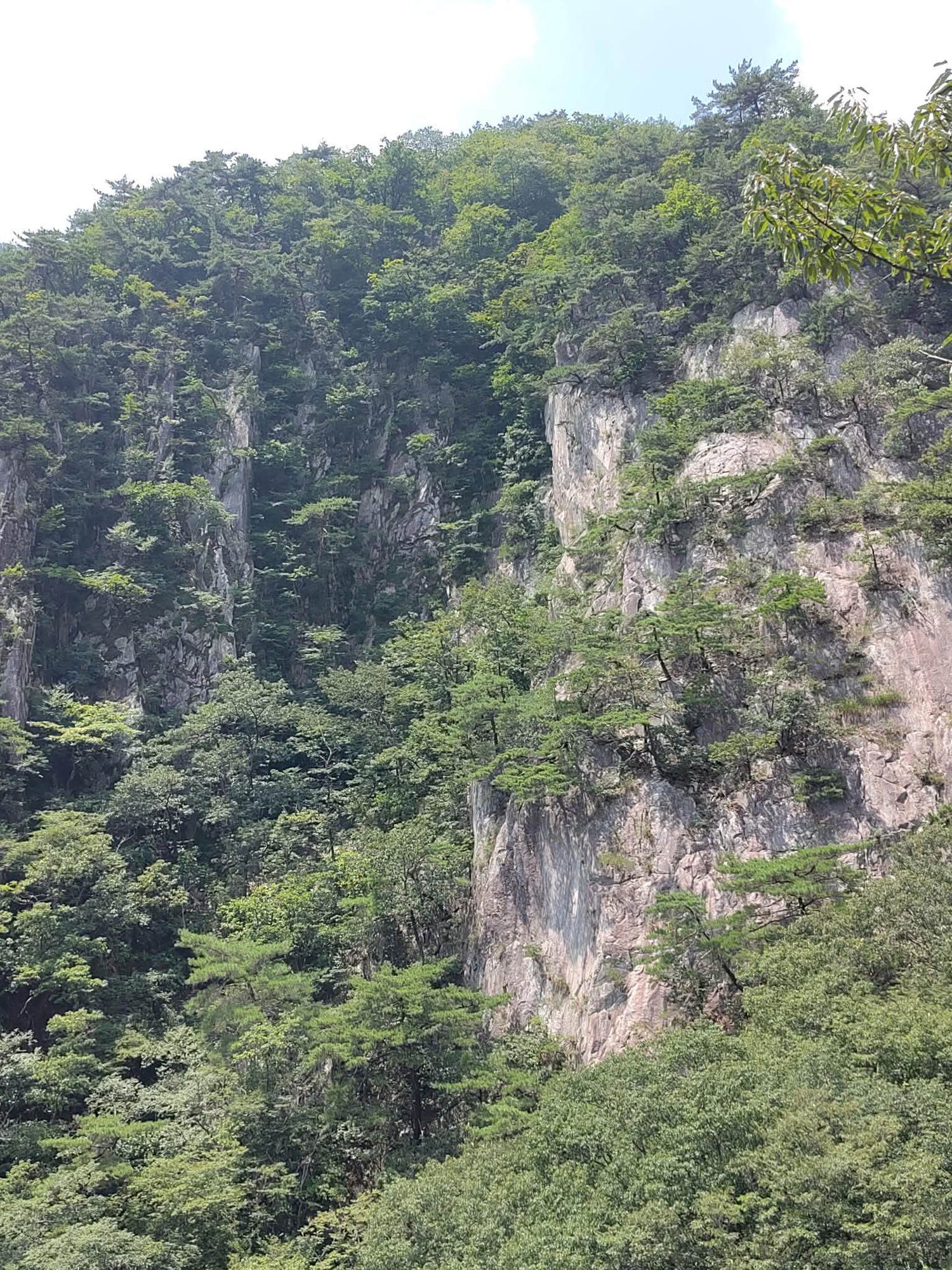 Daejeon, South Korea photo 30