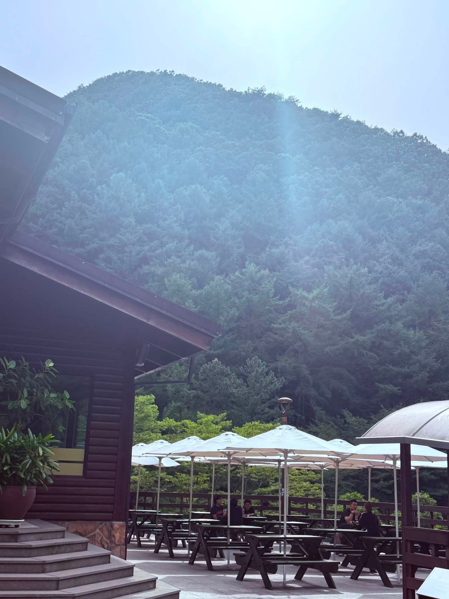 Daejeon, South Korea photo 33