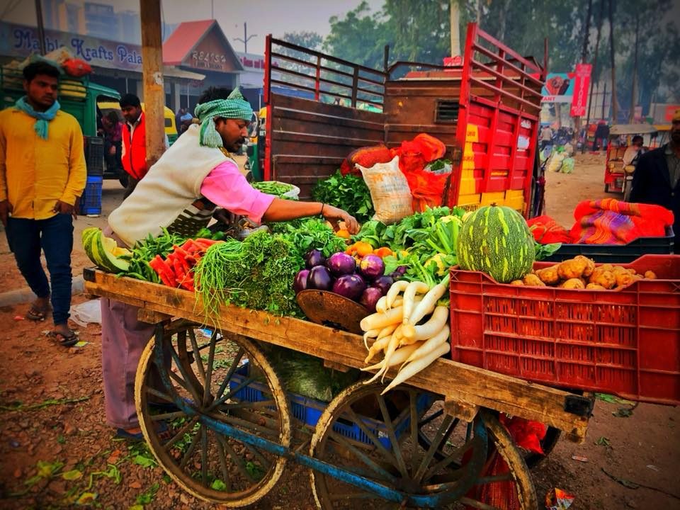 Delhi & Agra, India photo 6