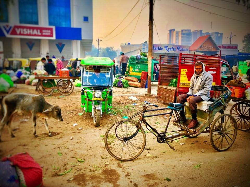 Delhi & Agra, India photo 10