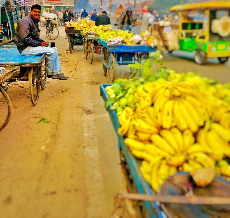 Delhi & Agra, India photo 17