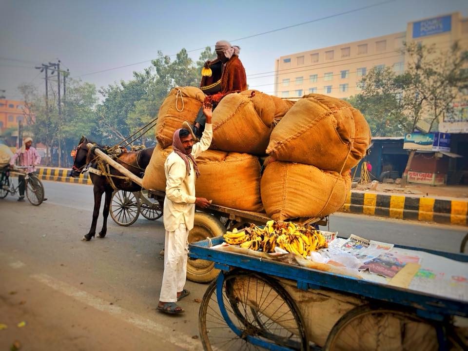 Delhi & Agra, India photo 18