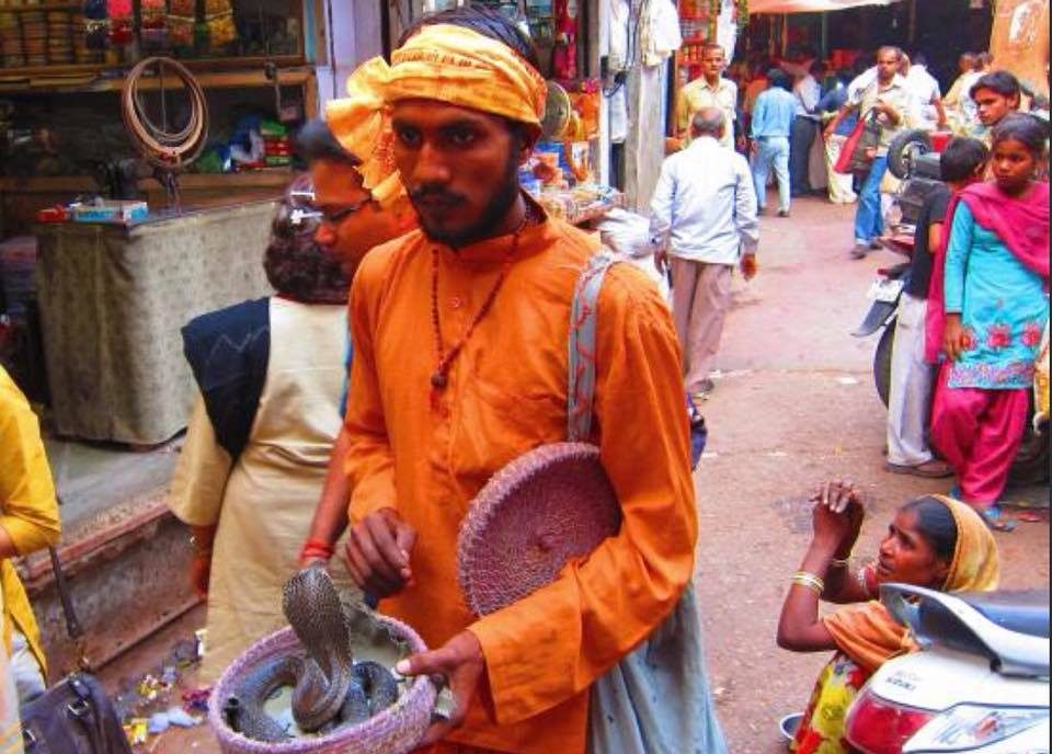 Delhi & Agra, India photo 20