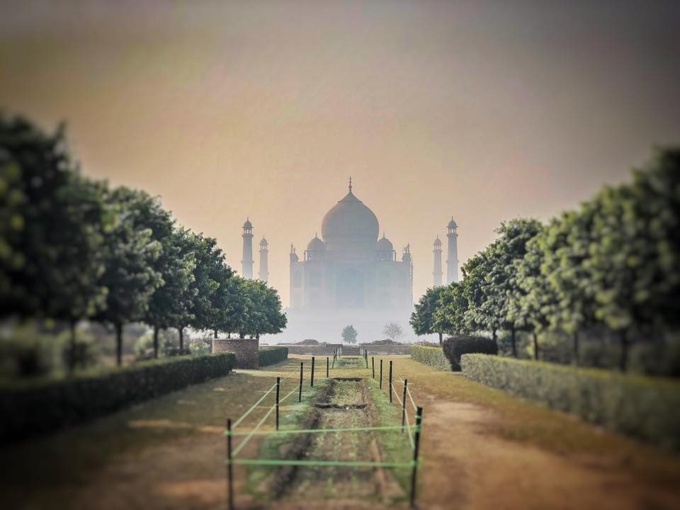 Delhi & Agra, India photo 49