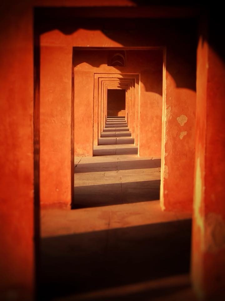 Delhi & Agra, India photo 52